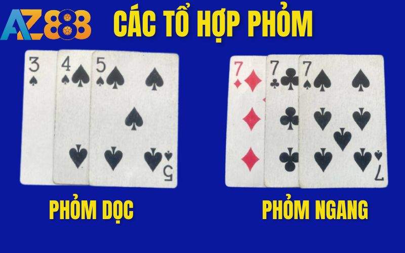 Các tổ hợp phỏm Các tổ hợp phỏm